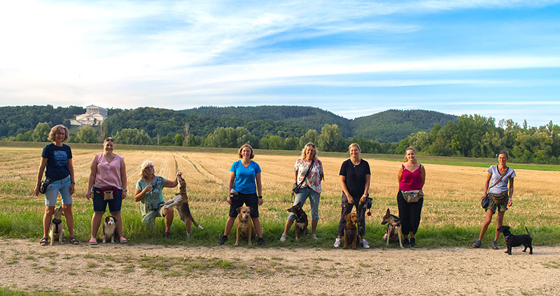 ein neuer weg mit der Pfotenzeit ein neuer weg mit der Pfotenzeit