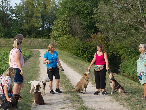 Pfotenzeit Hundeschule in regensburg Gruppenstunde Pfotenhelden im Alltag Pfotenzeit Hundeschule in regensburg Gruppenstunde Pfotenhelden im Alltag